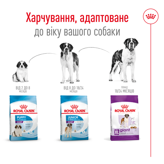 Корм для дорослих собак гігантських порід ROYAL CANIN GIANT ADULT 15.0 кг Київ