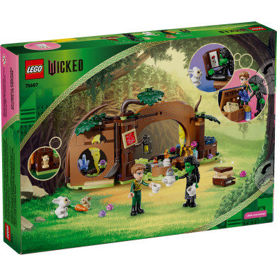 Конструктор LEGO Wicked Отступление Эльфабы (75687) Винница - изображение 10