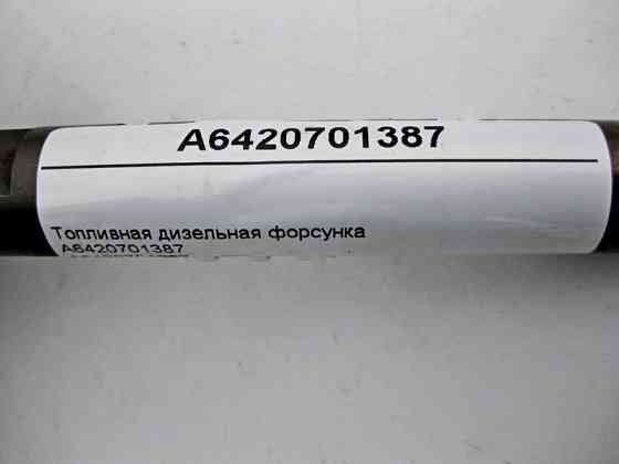 Mercedes-Benz  A6420701387 Паливна дизельна форсунка для двигуна OM642 V6 3.0 cdi Одеса
