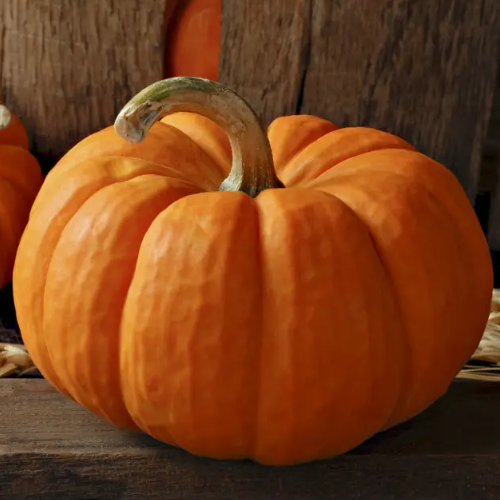 Гарбуз Вест 10шт Професійне насіння Житомир - фото 2