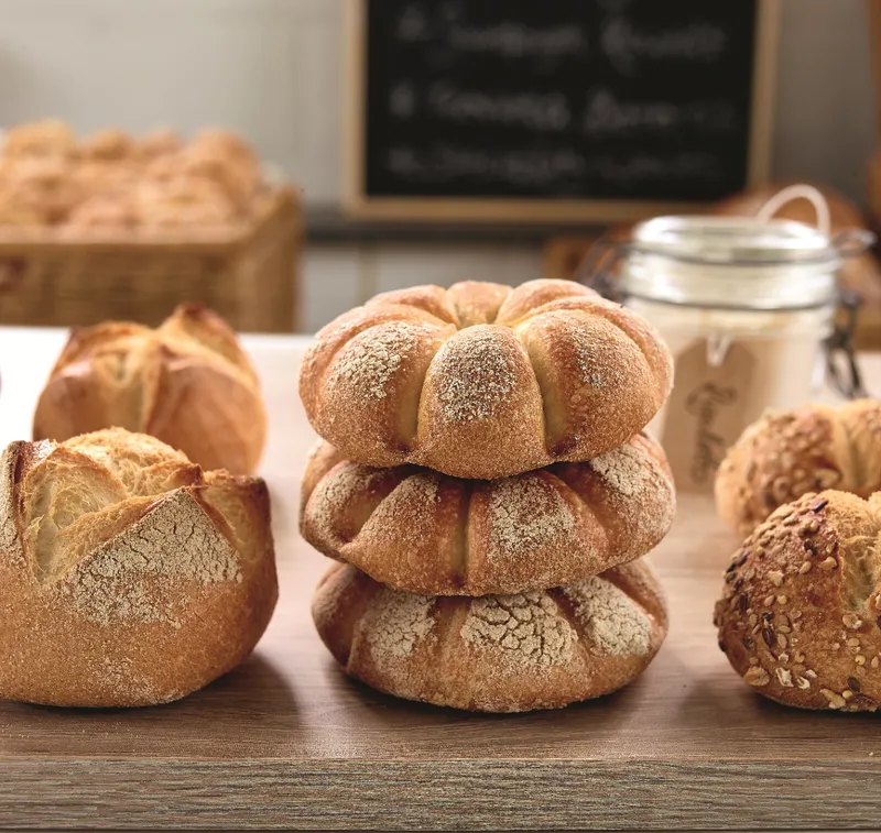 Сухая концентрированная закваска САПОРЕ РИГОЛЕТТО 25kg Павлоград - изображение 4