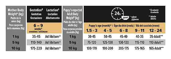 Сухий корм Pro Plan Small & Mini Puppy Start для цуценят дрібних порід з куркою 7 кг Вінниця