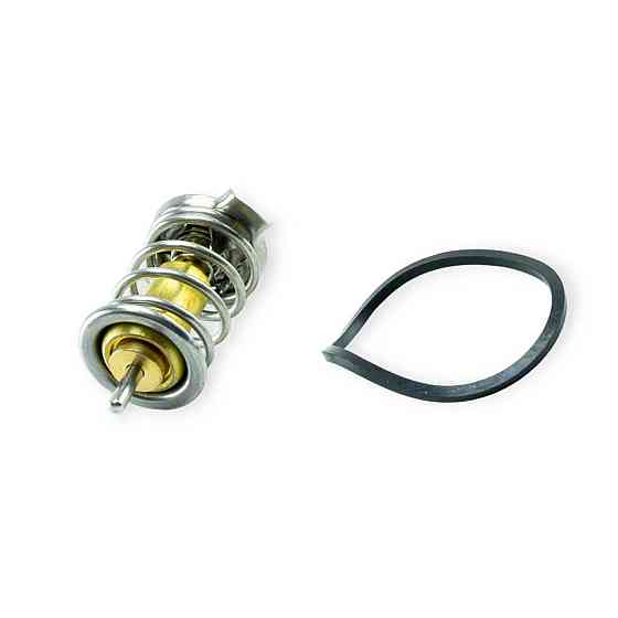 Термостат (вставка) 1117-1119 Мукачево