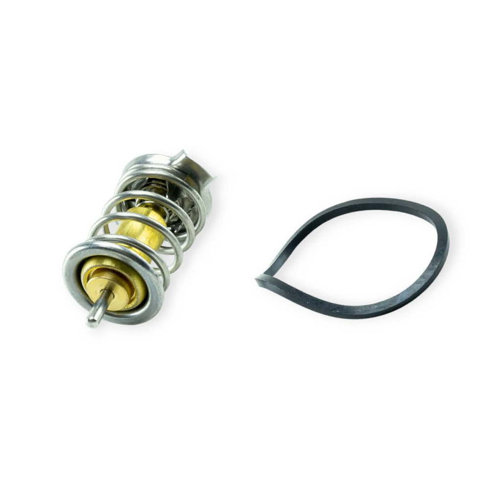 Термостат (вставка) 1117-1119 Мукачево - изображение 1