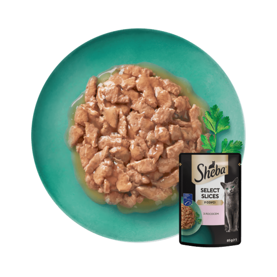 Вологий корм Sheba (Шеба) cig POU для дорослих котів з лососем в соусі 85 г Вінниця