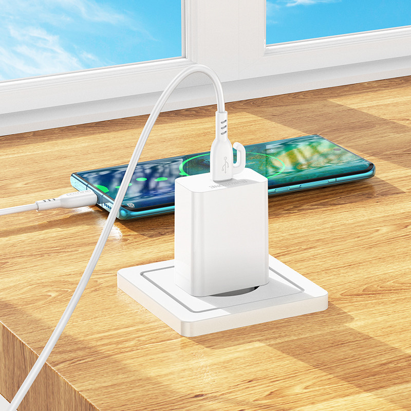 Мережевий зарядний пристрій з кабелем BOROFONE BA21A Pro Long journey single port PD20W charger set(C to C) Одеса - фото 7