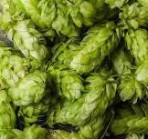 Шишки хмеля обыкновенного, 100г master sem Киев - изображение 1