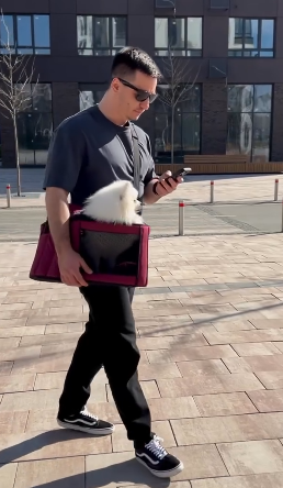 Сумка-переноска для котів і собак Happy Peppy (Хеппі Пеппі) Luna Bag Овал Бордовий Запоріжжя
