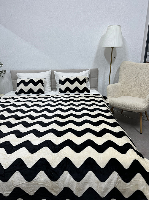 Ecotton Плед Ecotton 220х240 см із мікрофібри Well Soft Зиг-заг чорно-білий Киев - изображение 1