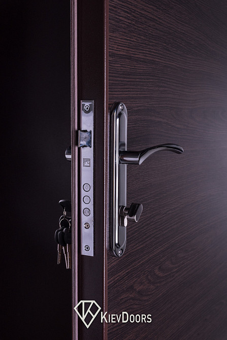 Двери Металл/ДСП+притвор, Шагрень 8017 снаружи, внутри ДСП 16 мм, толщина короба 80 мм, полотно 50 Киев - изображение 3