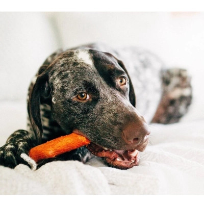 Игрушка для собак Petstages Mesquite Dogwood Ветка (с ароматом барбекю) 13.5 см (0700603301435) Вінниця - фото 3