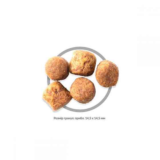 Сухий корм для собак Хіллс Hills SP Healthy Mobility великих порід для підтримки здоров’я суглобів 14 кг Вінниця