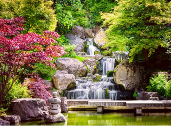 Алмазна картина Кайото Гарден Strateg розміром 50х65 см кр (SGK86085) без підрамника, шт Київ - фото 1