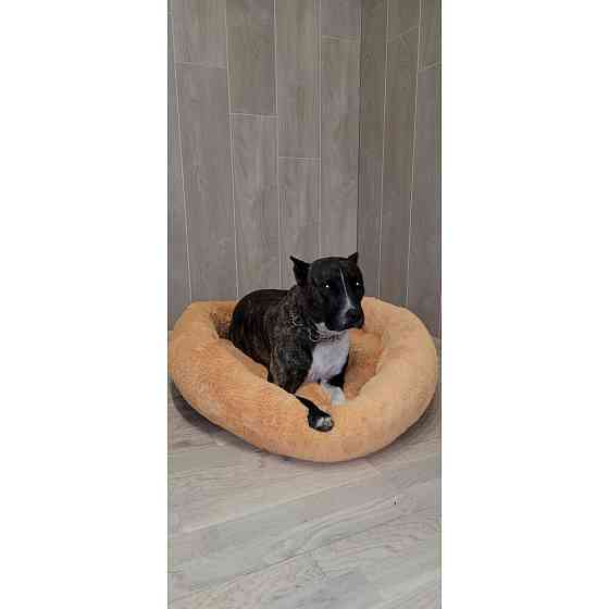 Лежанка для котів і собак «Ворс» персиковий 10045 3XL (100см) Київ