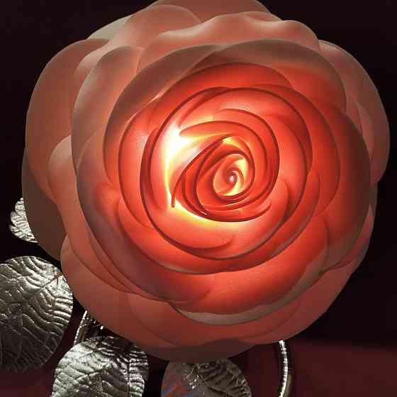 Світильник-нічник "Зефірна камелія" Дніпро