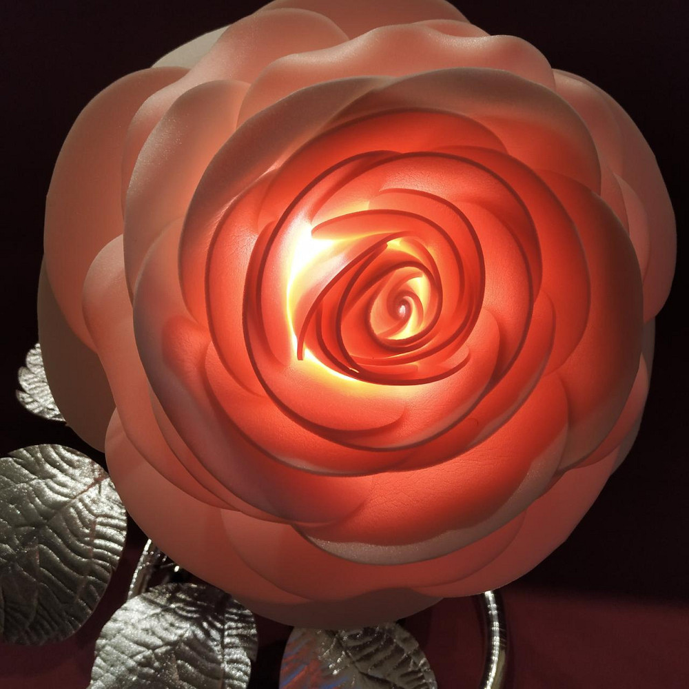 Світильник-нічник "Зефірна камелія" Дніпро - фото 3