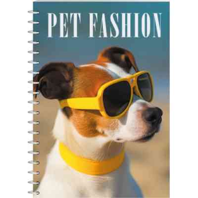 Блокнот Economix А5 пластиковая обложка, спираль, 80 листов, клетка (E21958-05) Винница