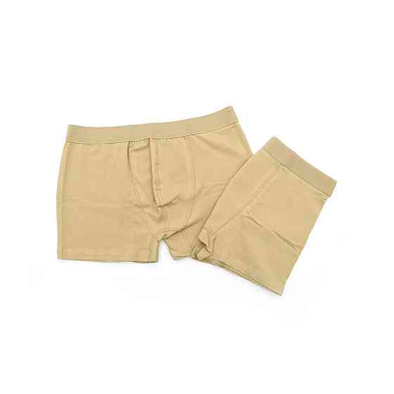 Трусы мужские армейские, боксеры военные, набор из 2 пар трусов-боксеров, Бежевый Размер L/XL Каменец-Подольский