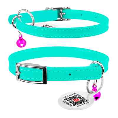Нашийник для тварин WAUDOG Glamour з QR паспортом Д 22-30 см ментоловий (324813) Вінниця