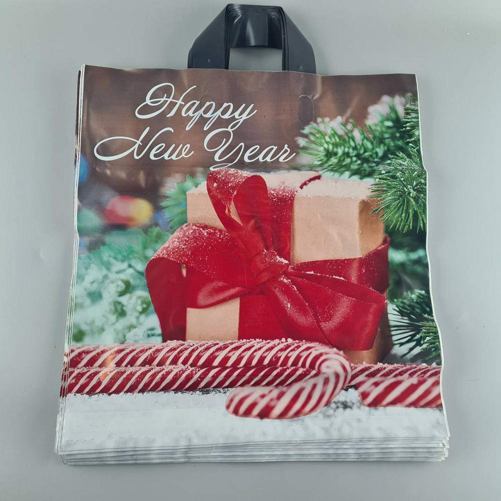 Пакет із петльовою ручкою спр п "БК НГ Подарунок" (38х41) ДПА (50 шт.) Харків - фото 1