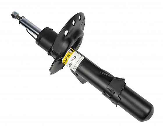 Амортизатор передній лівий Raiso (Швеція) Ford Mondeo 4/Volvo S80/XC70 06- #RS313748 UAGNDWB22 Ковель