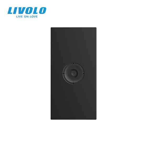 LIVOLO Телевізійна розетка LIVOLO, чорна, модуль 0.5 поста, TV гніздо для антени / ресивера (VL Коломия