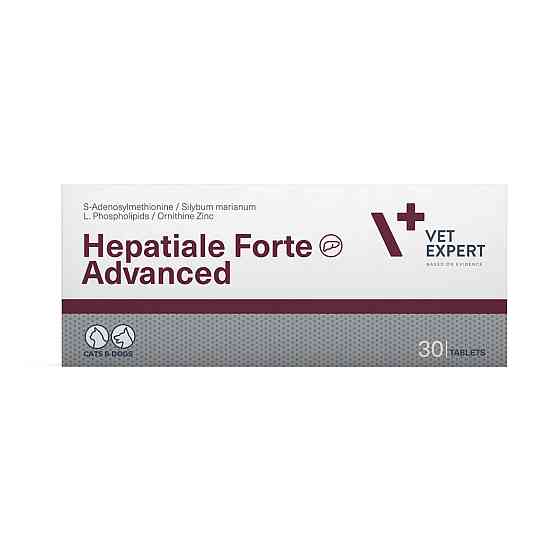 VetExpert Hepatiale Forte Advanced (Гепатіале форте едвансед) підтримка функції печінки котів і собак 30 таблеток Вінниця