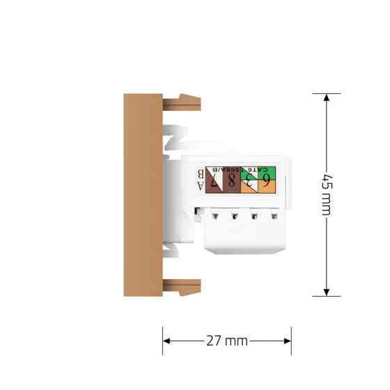 LIVOLO Інтернет-розетка RJ-45 (8P8C Cat.6) LIVOLO, золота, модуль 0.5 поста, з шторкою (VL-FCCP Коломия