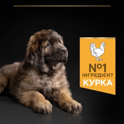 Сухой корм для собак Purina Pro Plan Dog Large Puppy Robust с курицей и рисом 12 кг (7613035120341) Винница - изображение 6