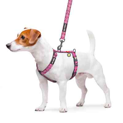 Шлей для собак WAUDOG Nylon анатомическая H-образная с QR-паспортом "Смайлики на розовом" пластиковый фастекс, XL (346-0187) Винница