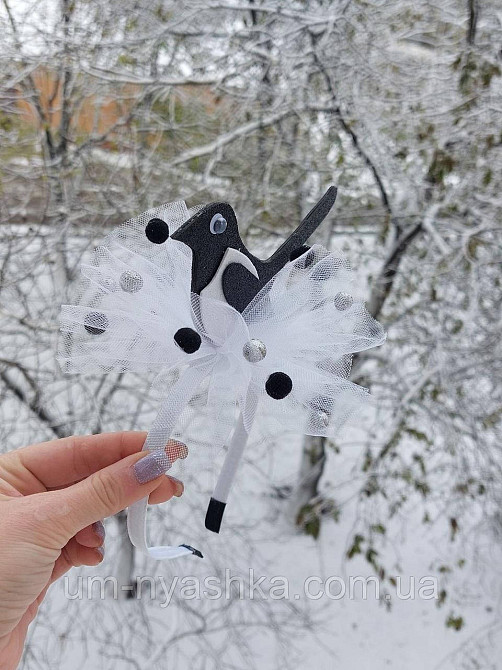 Обруч сороки Сорока Кривий Ріг - фото 3