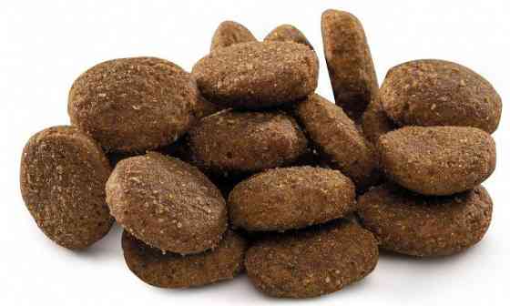 Сухой корм Брит Brit Premium Junior XL для щенков и молодых собак гигантских пород, 15 кг Винница