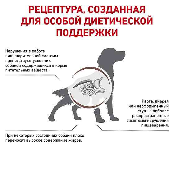 Royal Canin Gastrointestinal Low Fat (Роял Канін Гастроінтестинал Лів Фет) корм для собак для травлення Запоріжжя