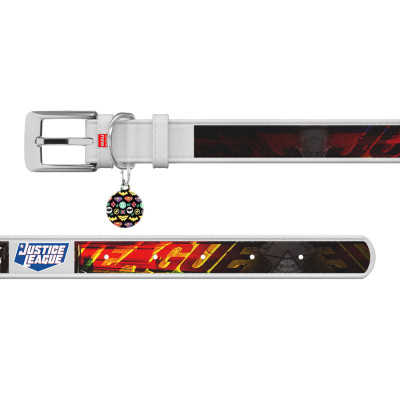 Ошейник для животных WAUDOG Design с QR паспортом "Лига справедливости" Ш 25 мм Д 37-48 см белый (0025-1010-15) Винница - изображение 3