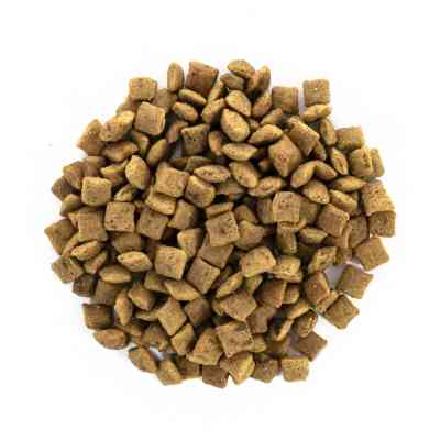 Сухой корм для кошек Brit Care Cat GF Senior Weight Control 400 г (8595602540952) Винница