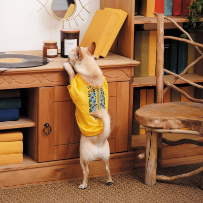 Футболка для тварин Pet Fashion Maria S2 (4823082430505) Вінниця - фото 3