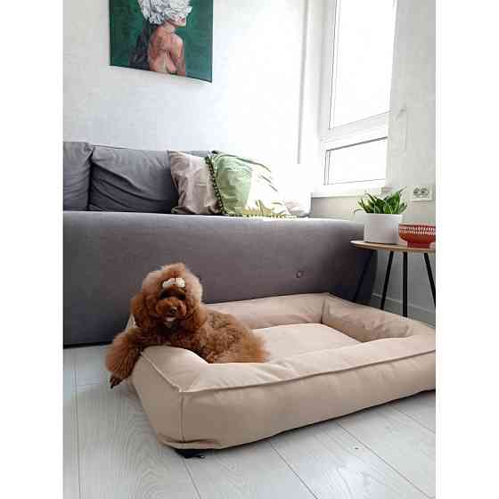 Водонепроникний лежак лежанка спальне місце для тварин зі знімним чохлом бежевий S (60см) Київ