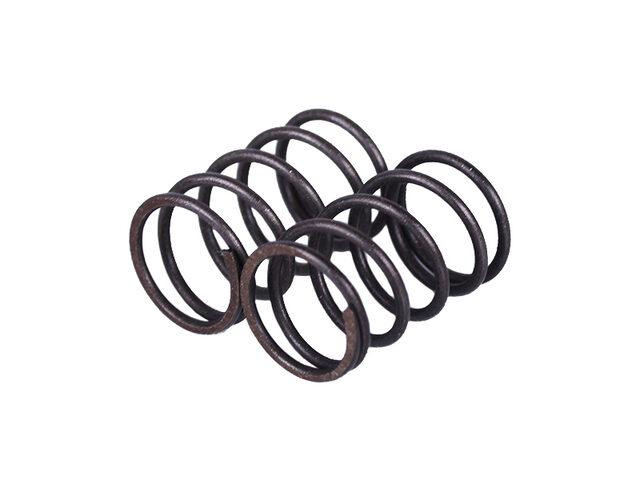 Пружины клапанов, пара - P65F (ZS) Мукачево - изображение 1