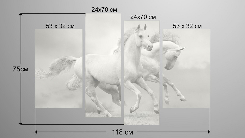 Модульная картина Лошади Art-87_4 Киев - изображение 3