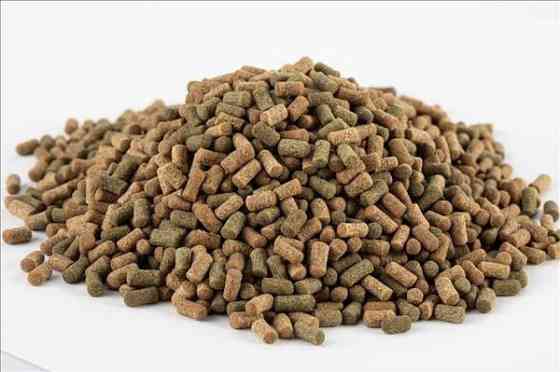 Корм для риб Classic Menu (Класік Меню) палички 40 г, Акваріус Київ