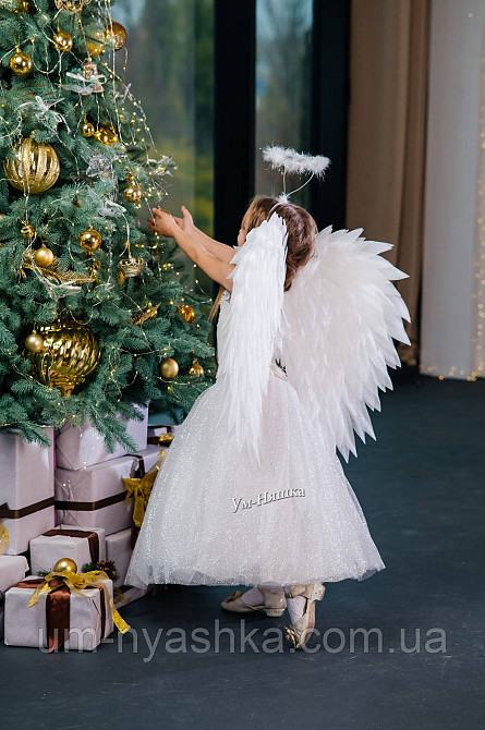 Крылья Ангела большие сердцем Кривой Рог - изображение 12