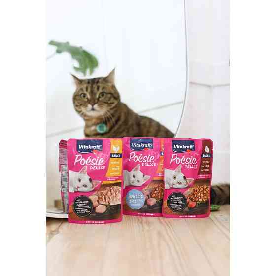 Влажный корм Vitakraft Poésie Délice для котят, индейка в соусе, 85 г Винница