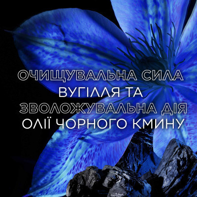 Кондиционер для волос Garnier Botanic Therapy Магнетический уголь 200 мл (3600542512268) Винница - изображение 7