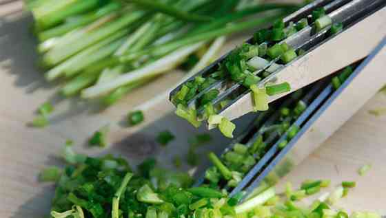 Ножницы для зелени 5 лезвий Винница