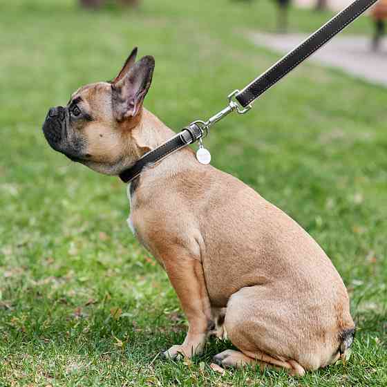 Повідець для собак шкіряний WAUDOG Soft, Ш 13 мм, Дов 122 см чорний Коломия