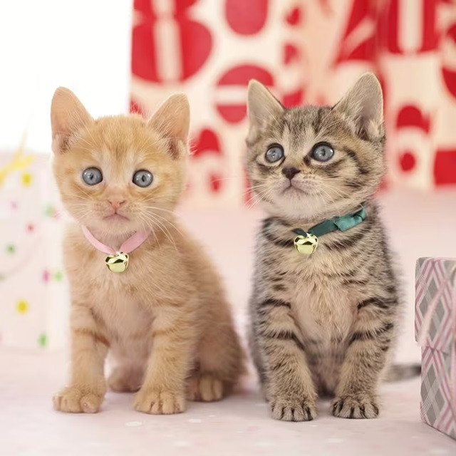 Металлический колокольчик 20 мм – золотой (1 шт) Киев - изображение 5