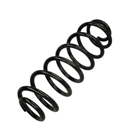 Пружина Фольцваген Passat B6 1.4-1.8TSI, 1.9-2.0TDI (05-10) ззаду Мукачево