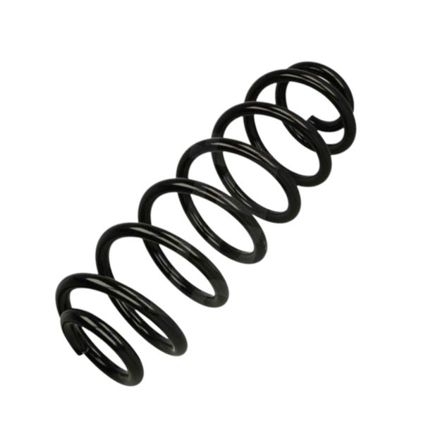 Пружина Фольцваген Passat B6 1.4-1.8TSI, 1.9-2.0TDI (05-10) задняя Мукачево - изображение 1