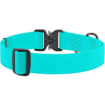 Ошейник для животных WAUDOG Waterproof металлическая пряжка-фастекс XXL Ш 40 мм Д 46-70 см ментоловый (2781) Винница
