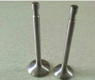 Клапани (пара, голі) мотоблок 180N (9Hp) Мукачево - фото 1